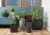 354447896c480da2ca4f63eeeb9dca88