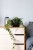 be21bd0628937e5362cb8b35cb98900e