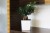 cd3e6cc839ac157529c61e7ea6fc2cd5