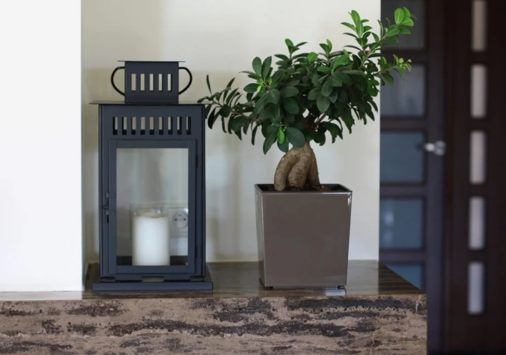 cb805fa3df08596d6298f83e5e63c73e