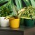 1e51ea7f61217f8b6cdfb003bccc6b54