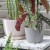 cc8ce7d16af5314ee9bae8bdf1e89c00
