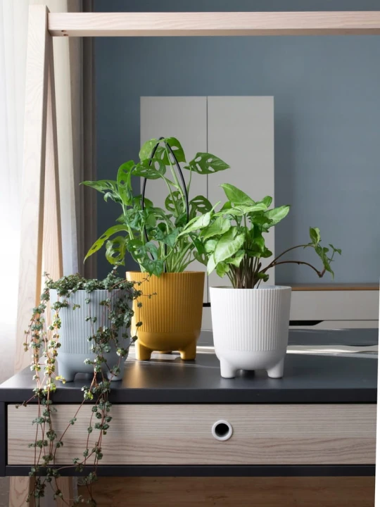 d50b43e3d09df9f4aa4aba591f1c318d