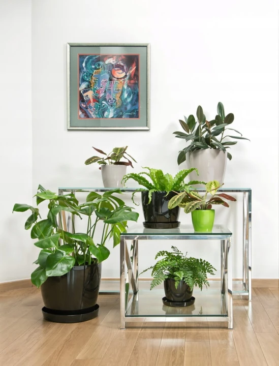 d275d97b70df2997a4413aafff977028