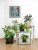 4ae27e52a2e06da801af4cc05d972ca5